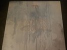 ANBERLIN Paper Tigers (new surrender lockdown livestream) Vinyl live