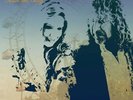 ROBERT PLANT / ALISON KRAUSS - RAISE THE ROOF NEW VINYL