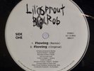 LIL SPROUT & BIG ROB: Flowing SEALED Baltimore Random Rap 12” Vinyl