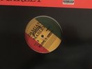 Rare Damian Marley Welcome To Jamrock 12” Vinyl Record Promo JR Gong NM