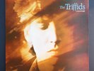 The Triffids / Calenture, Original Australian press 1988, White Hot Records (NM)