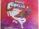 GRUPO PEGASSO 
