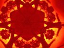 Boards of Canada Geogaddi (Vinyl) 12
