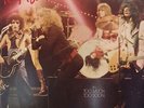 New York Dolls: In Too Much Too Soon