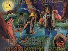 The Fuzztones: Lysergic Emanations