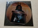 Jim Morrison The Doors The End Picture Disc Vinyl Record Excellent Condition.