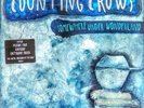 COUNTING CROWS - SOMEWHERE UNDER WONDERLAND - VINYL LP 