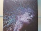 Devil Sold His Soul – A Fragile Hope Splatter Vinyl 2lp RSD 2017 New & Sealed