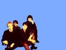 Sunnyboys - Sunnyboys (Vinyl) (LP)