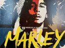 BOB MARLEY & THE WAILERS - Marley soundtrack - [3 Lp] -absolutely fantastic