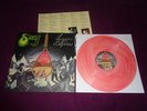 LP SHAGGY / LESSONS FOR BEGINNERS / LIMITED 100 COPIES RED WHITE MARBLED