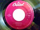 ADAM ANT 45 RPM 7