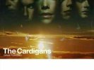The Cardigans - Gran Turismo - Vinyl Record.. - Q2505A