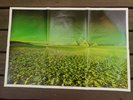 Pink Floyd POSTER Only Dark Side of the Moon 1973 Original Green Pyramids