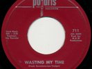 very rare THE NEW BREED Wasting My Time garage Polaris 45 Worcester, MA 1966
