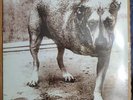 Alice In Chains Self-Titled 2xLP Colored Vinyl Yellow Tri-pod, Three Legged Dog