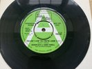 Marvin Gaye & Tammi Terrell - You Ain't Livin' Till You're Lovin MOTOWN DEMO Ex