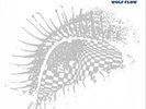 Loop Wolf Flow (Vinyl) 12