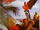 Jimmy Buffett Songs You Know By Heart LP Vinyl Record Album New Sealed