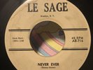 MASTERETTES Never Ever / Follow the Leader 45rpm Le Sage 1961 female doo-wop
