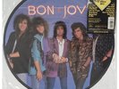 Bon Jovi - Slippery When Wet - Vinyl LP Limited Picture Disc 1986 Polygram