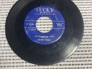 Nelson Young Rock Old Sputnik I’m Falling In Love 45 RPM Vinyl Record #3127