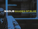 MADLIB - SHADES OF BLUE 2017 DUTCH 180 GRAM 2 LP SET * NEW *