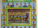 BRASIL NA COPA DO MUNDO BRAZIL 1958 LP WORLD CUP PELE GARRINCHA ZAGALLO VAVA
