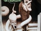 The Chameleons - Tears (1986) - (D) 3 Tr. Maxi Si. in MINT   1st Press - RAR