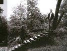 TIMBER TIMBRE NEW VINYL