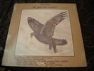 RHEMA DO YOU NOT KNOW? NEW SEALED LP 80'S PRIVATE PRESS XIAN FOLK ROCK