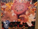 Nirvana Heart Shaped Box/Gallons of Rubbing Alcohol 12