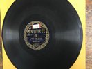 WOLVERINE ORCHESTRA I Need Some Pettin' GENNETT 20062 V+ 78 RPM Shellac USED