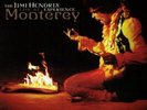 JIMI HENDRIX: LIVE AT MONTEREY (LP vinyl *BRAND NEW*.)