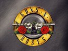 GUNS N' ROSES - Greatest Hits (180G Vinyl 2LP) 2020 UNI 602507124793 NEW/SEALED