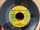 The Thirteenth Floor Elevators You're Gonna Miss Me 7
