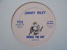 JIMMY RILEY Bridge The Gap JIMMY RILEY Killer  Rockers Roots SteppersReggae 12