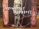 Primitive Paradise LP early exotica 1920-1947