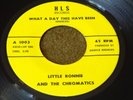 Little Ronnie and th Chromatics - What A Day This Have Been SOUL Funk 45 rpm