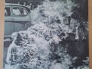 Rage Against The Machine LP - 1992 - US 1st Edition - Z 52959