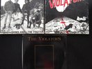 Violators-No Future/ Punk/ Oi/ Skinhead