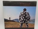 PINK FLOYD - DELICATE SOUND OF THUNDER, EMI, 1988, VG/VG, First Pressing