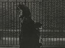 Neil Young - After The Gold Rush (LP, Album, RE)