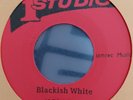 ALTON ELLIS - Blackish White / African Descendants 7