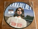 RARE Lana Del Rey 2013 RSD Exclusive Born To Die Picture Disc Vinyl - 1/2500 NEW