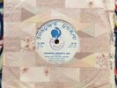 AFRO / Zimbabwe / Susan And The Real Sounds - Gondo Iro / JR 511