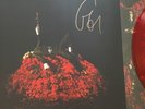 Conan Gray SIGNED AUTOGRAPHED Superache Insert + Exclusive Red Vinyl Record LP
