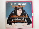 PETER GABRIEL SOLSBURY HILL CHARISMA SFL-2191 JAPAN COMPANY SLEEVE VINYL 7