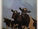 PINK FLOYD ATOM HEART MOTHER EMI EMS-80320 JAPAN INSERT VINYL LP