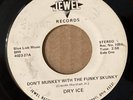 DRY ICE: Don't Munkey 45 Jewel '74 proto-punk hard rock hear
